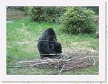 Dierentuin Burgers  Zoo 104 * 3648 x 2736 * (7.61MB)